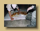 Bild22