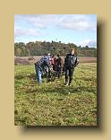 Bild17