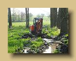 Bild11