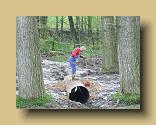 Bild36