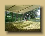 Bild00769