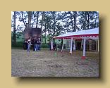 Bild00778