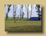 Bild00798