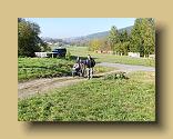 DSCN0302