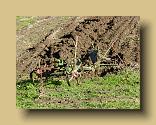 DSCN0338