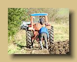 DSCN0345