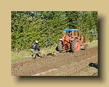 DSCN0353