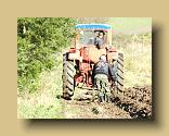 DSCN0354