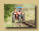 DSCN0356