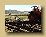 DSCN0358