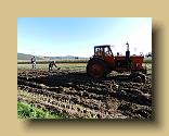 DSCN0359