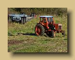 DSCN0367