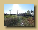 DSCN0385