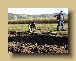 DSCN0393