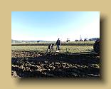 DSCN0394