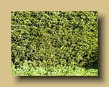 DSCN0467
