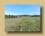 DSCN0485
