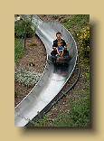 DSC06955