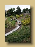 DSC06960