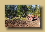 IMG_0017