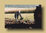 IMG_0019