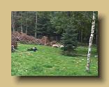 IMG_0206